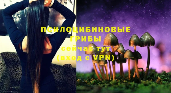 таблы Алзамай